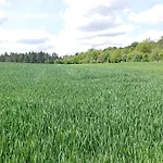 Schoene Einliegerwhg * Neckarbischofsheim