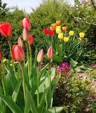 Apartment Schöne Einliegerwhg *