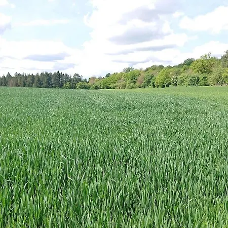 Schoene Einliegerwhg Apartmán Neckarbischofsheim