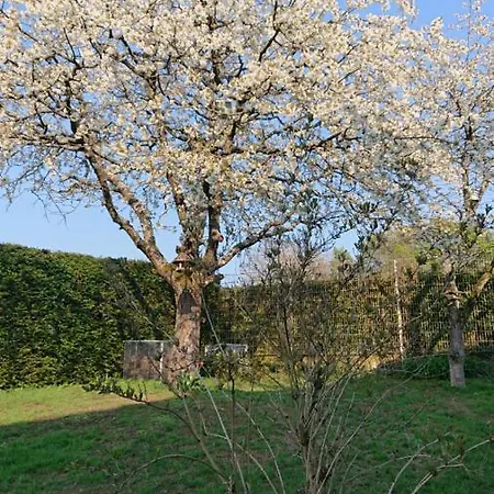 Schoene Einliegerwhg Apartment Neckarbischofsheim
