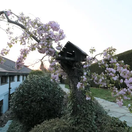 Schoene Einliegerwhg Appartement