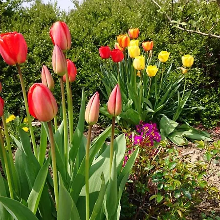 Schöne Einliegerwhg