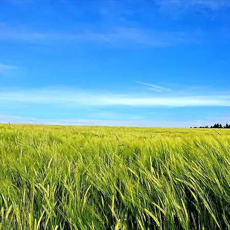 Schoene Einliegerwhg Apartmán