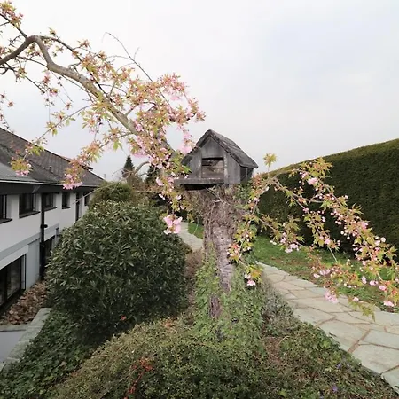 Apartmán Schoene Einliegerwhg *