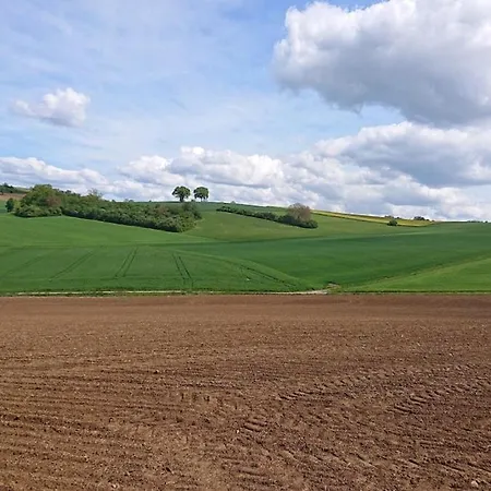 Apartmán Schoene Einliegerwhg Neckarbischofsheim