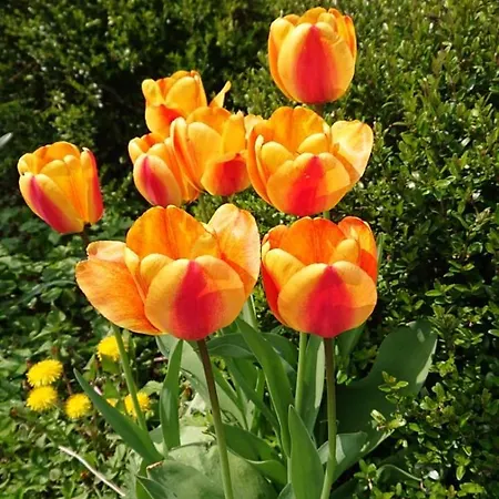 Apartmán Schoene Einliegerwhg