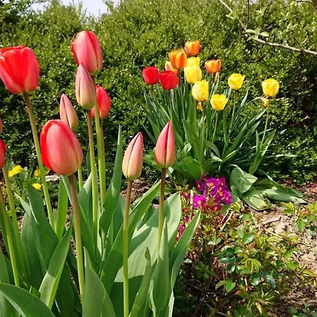 Schoene Einliegerwhg Apartmán Neckarbischofsheim