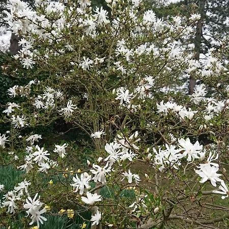 Schoene Einliegerwhg