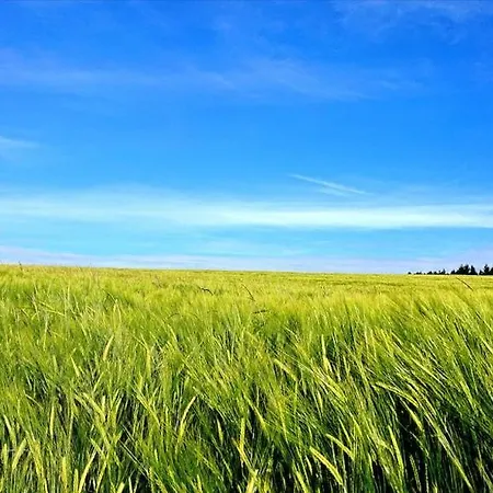 Apartmán Schoene Einliegerwhg Neckarbischofsheim