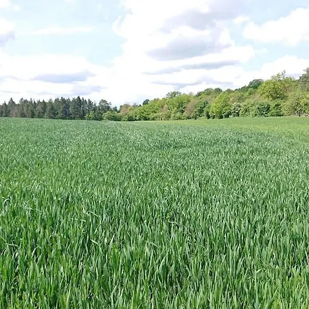 Schoene Einliegerwhg * Neckarbischofsheim