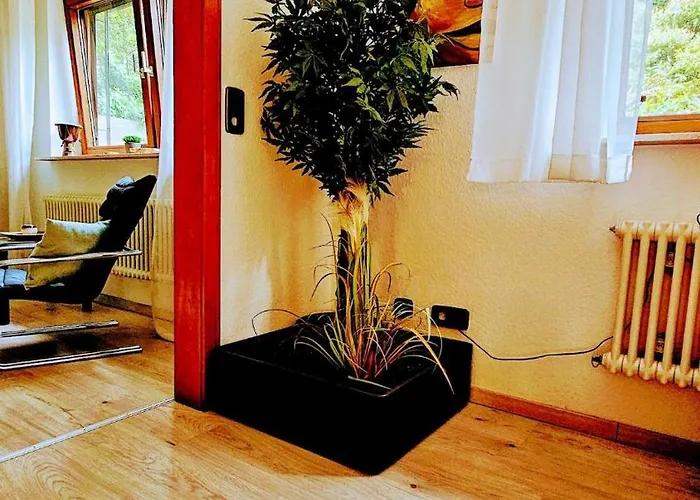 Apartment Schoene Einliegerwhg Neckarbischofsheim