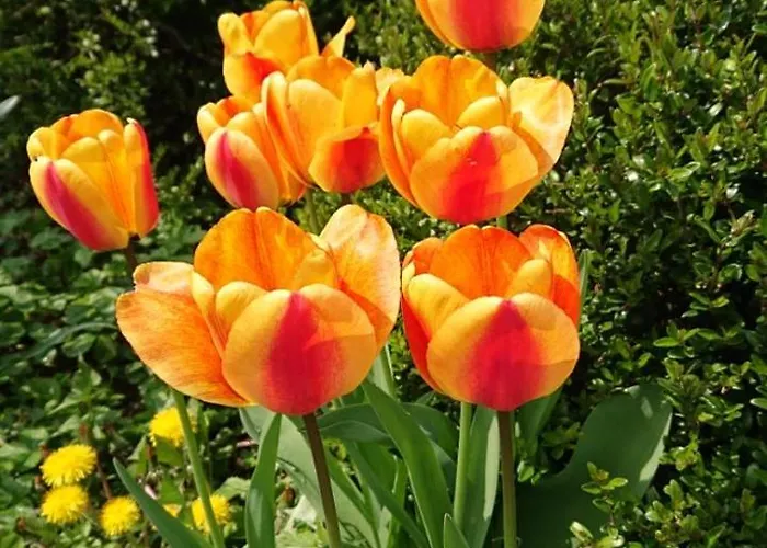 Apartamento Schoene Einliegerwhg