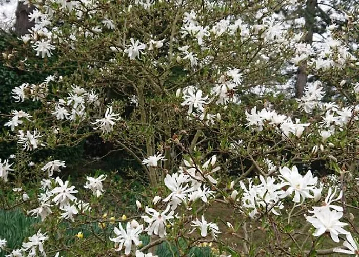 Schoene Einliegerwhg