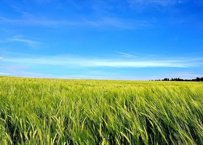 Apartamento Schoene Einliegerwhg Neckarbischofsheim